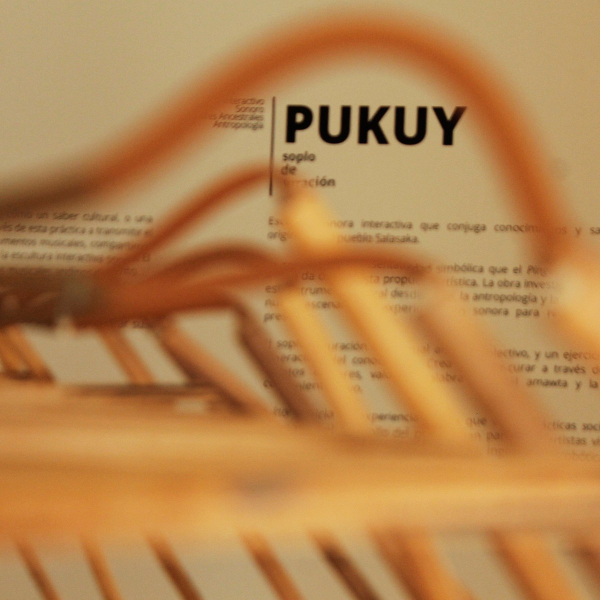 PUKUY / Soplo de&nbsp;Curación