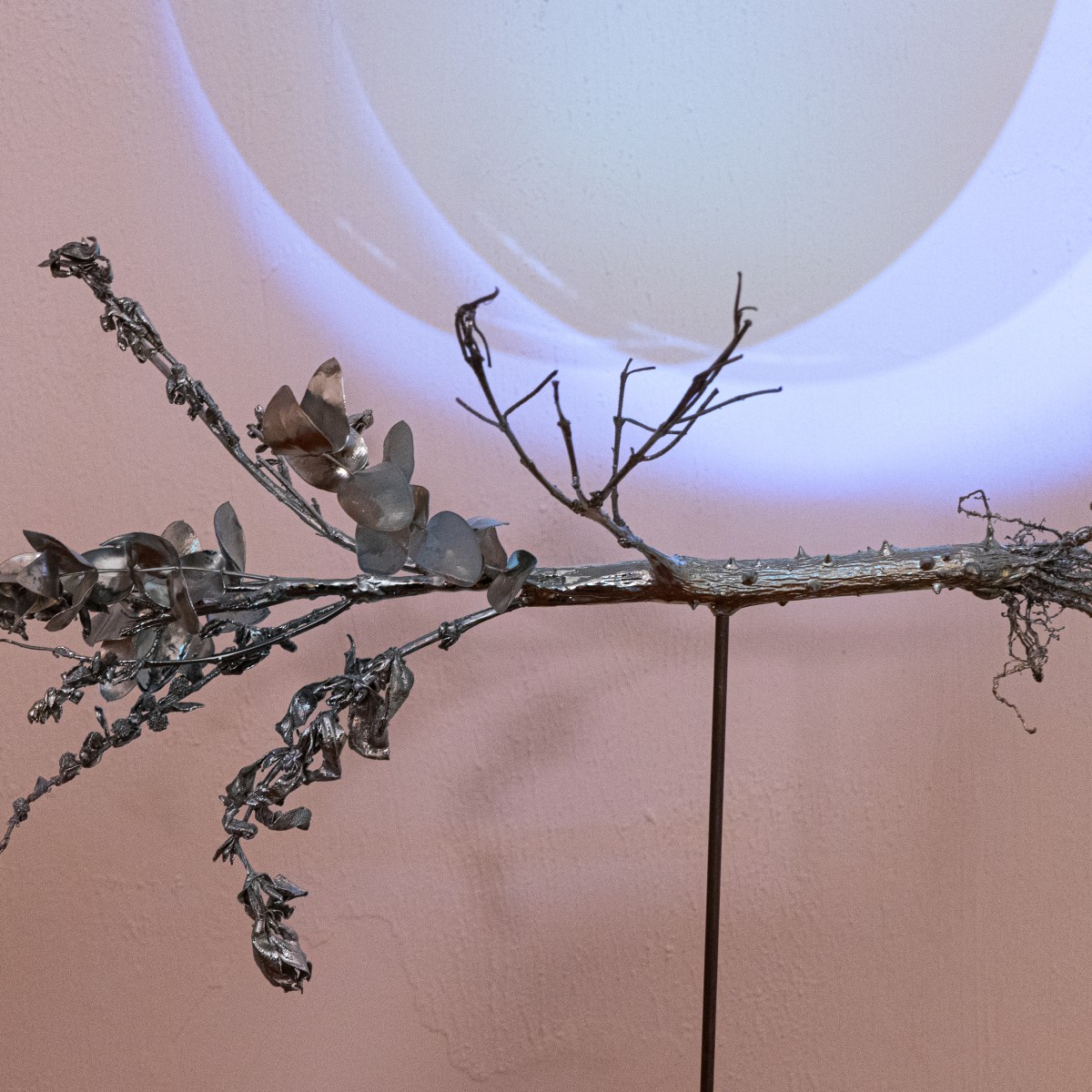 Desvanecer la hierba y seguir la&nbsp;materia