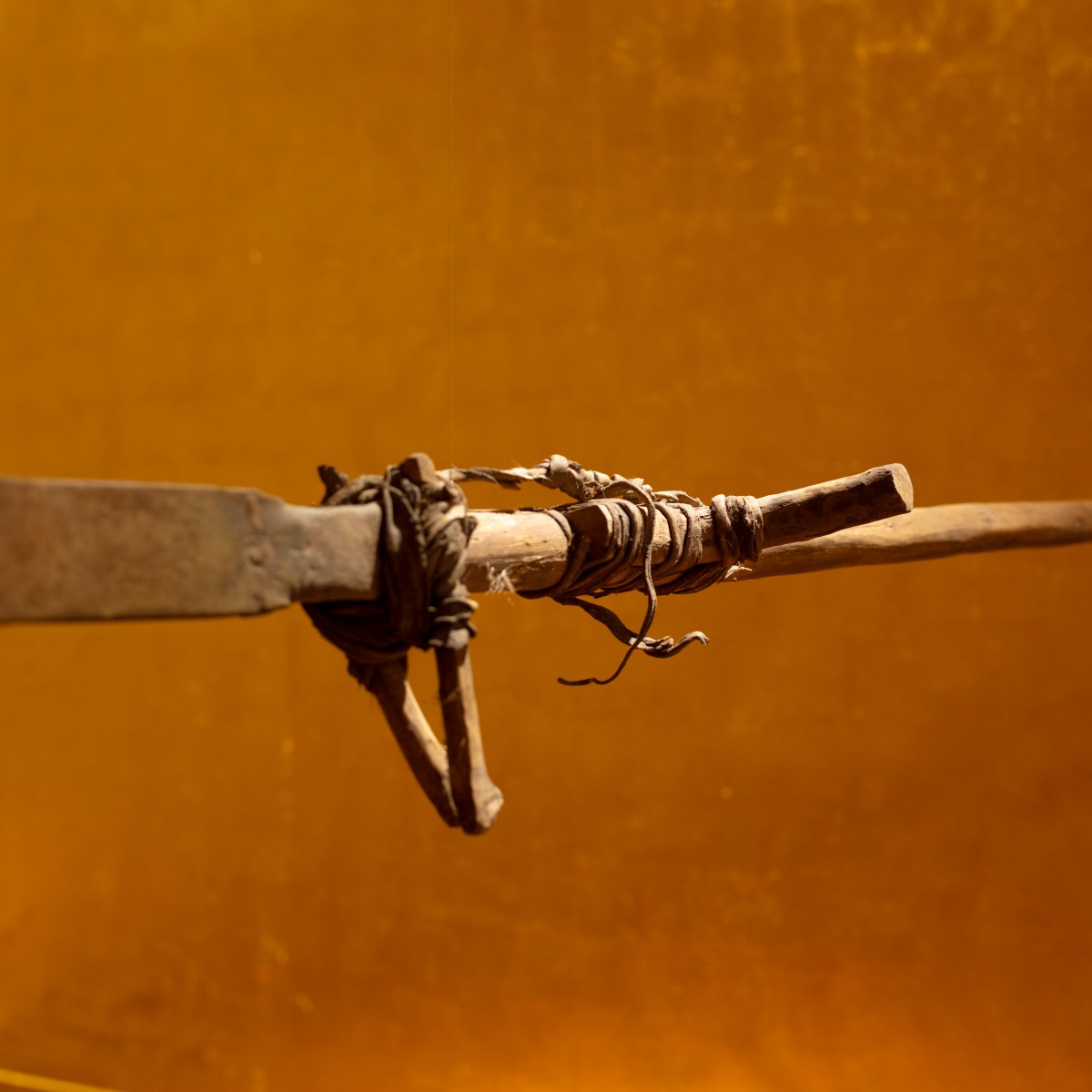 El oro que&nbsp;comes