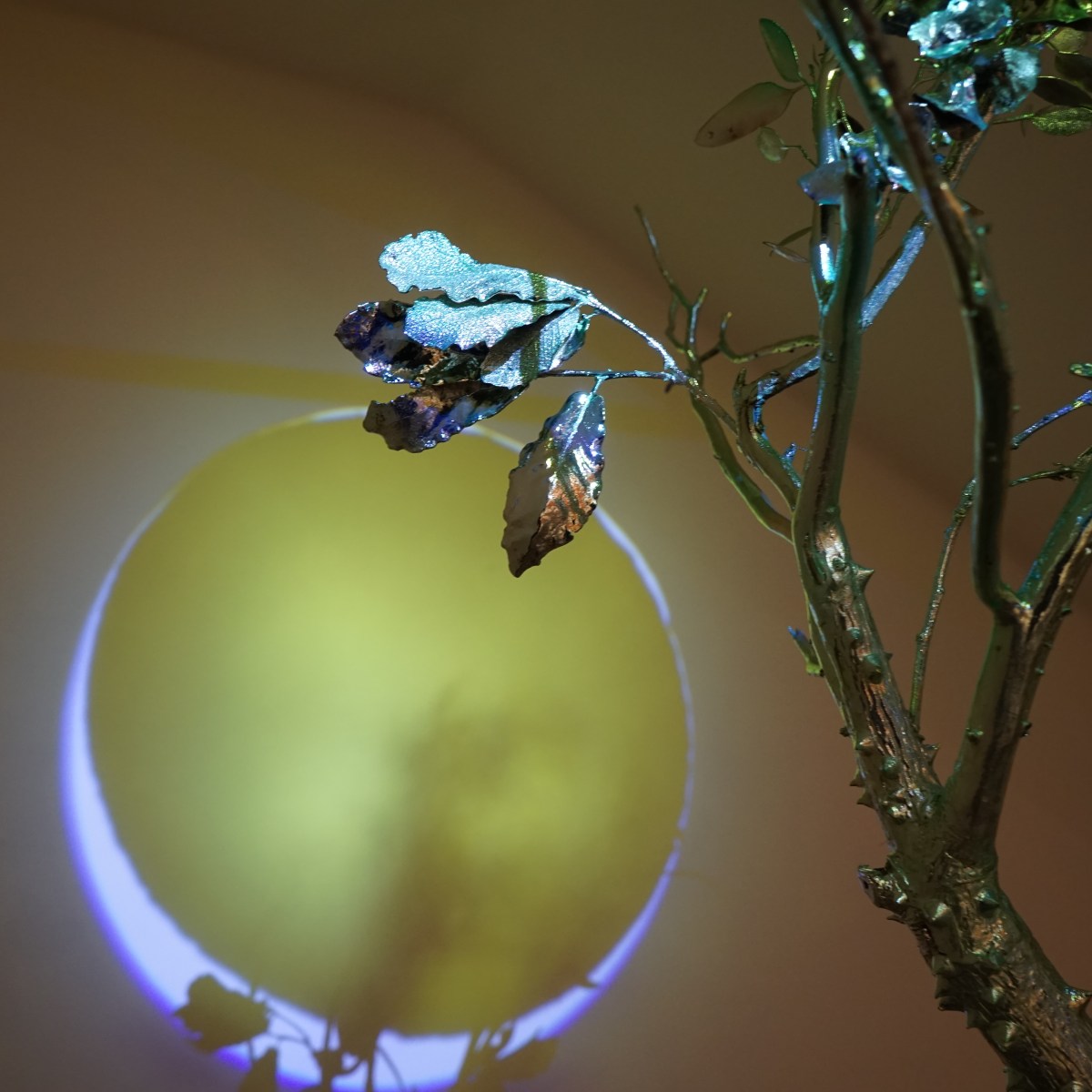 Plantas para calmar la luna&nbsp;creciente